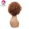 10 Inches Short Curly Human Hair Wigs For Black Woimen